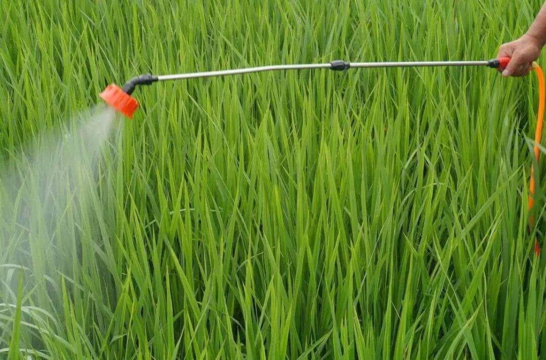 羅地亞DF-691消泡劑